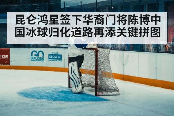 ice hockey goaltender action