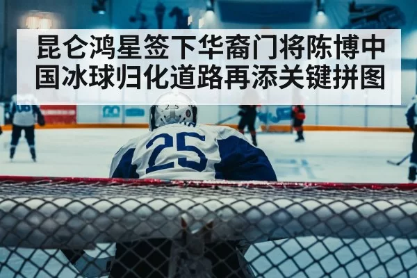 asian ice hockey player portrait