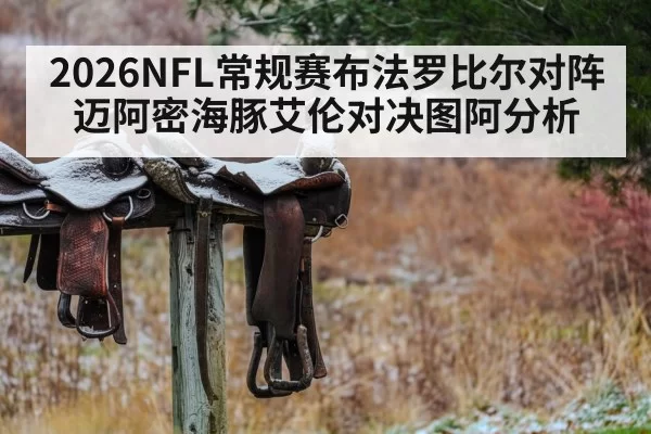2026NFL常规赛 布法罗比尔对阵迈阿密海豚 艾伦对决图阿分析